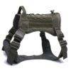 Ranger Green Harness