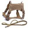 Brown Harness and Leash