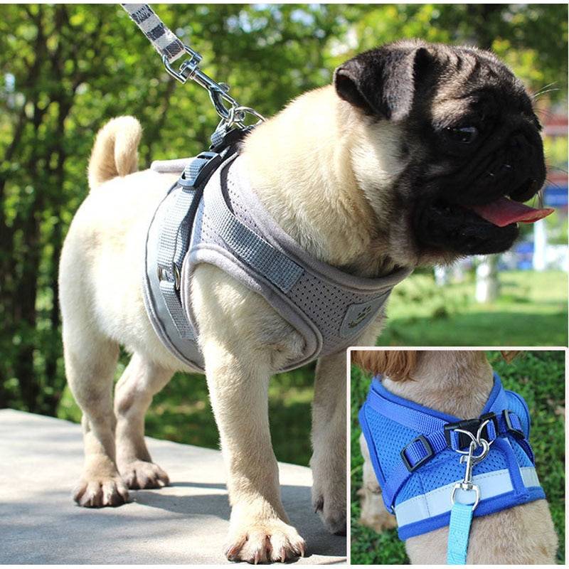 Pet's Adjustable Reflective Harness