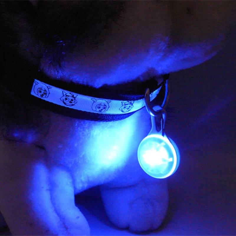 LED Collar Pendant for Dogs