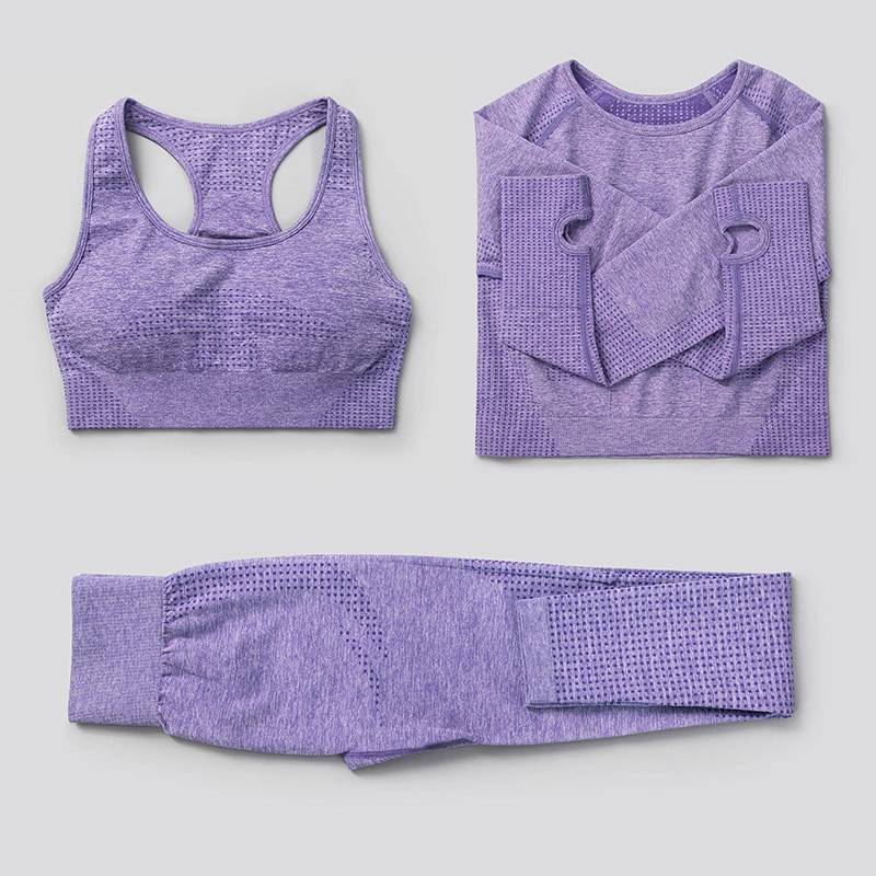 Elastic Seamless Yoga Set for Women