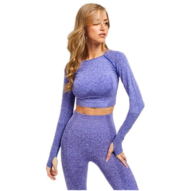 Elastic Seamless Yoga Set for Women